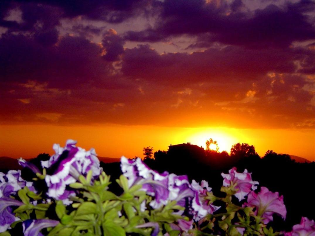 Viole Country Hotel Assisi Bagian luar foto